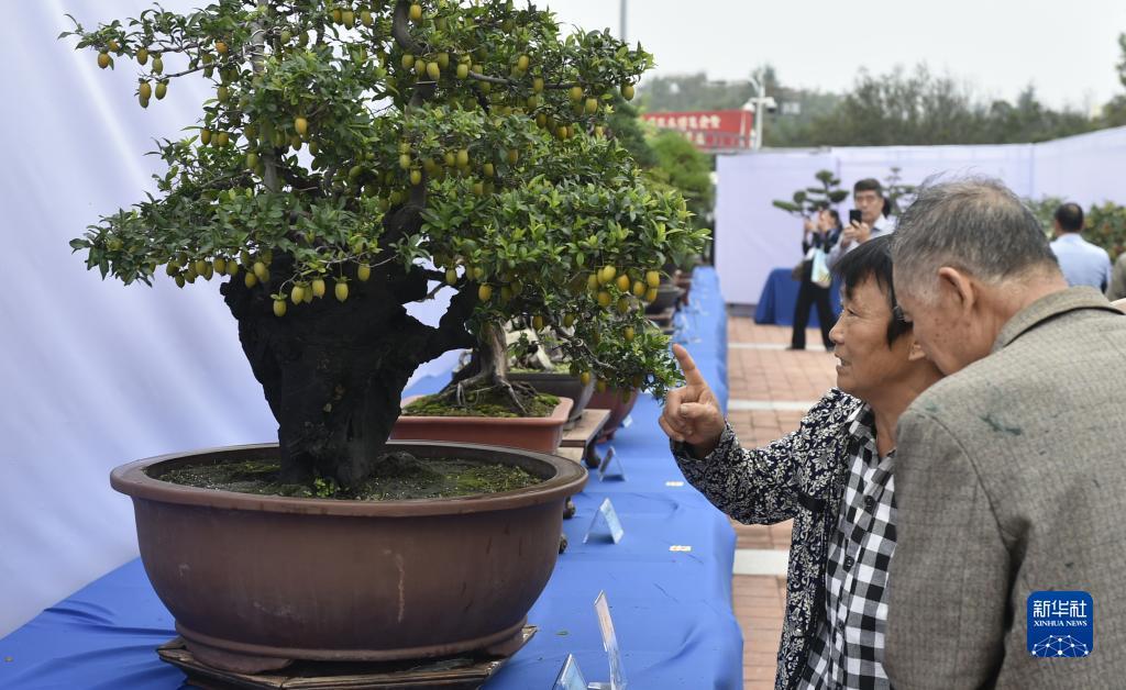 凭手机尾数领取彩金